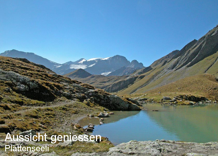 Aussicht geniessen - Plattenseeli